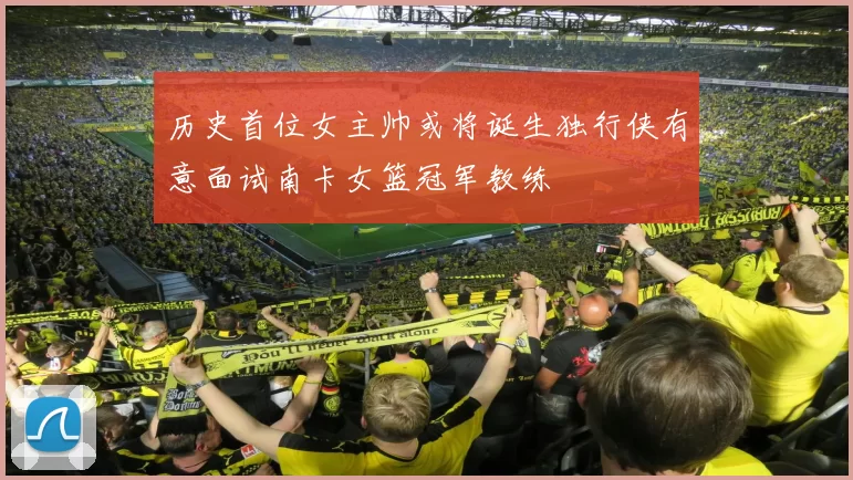 历史首位女主帅或将诞生独行侠有意面试南卡女篮冠军教练